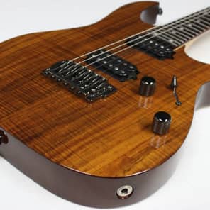 Ibanez 日本製 brown Amazon | Ibanez アイバニーズ Artcoreシリーズ フル・ホロウ