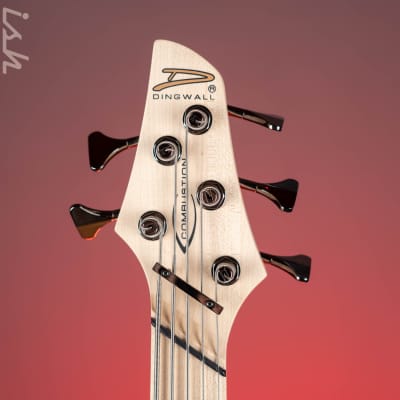 Dingwall Combustion 5-String Bass Whalepoolburst image 5