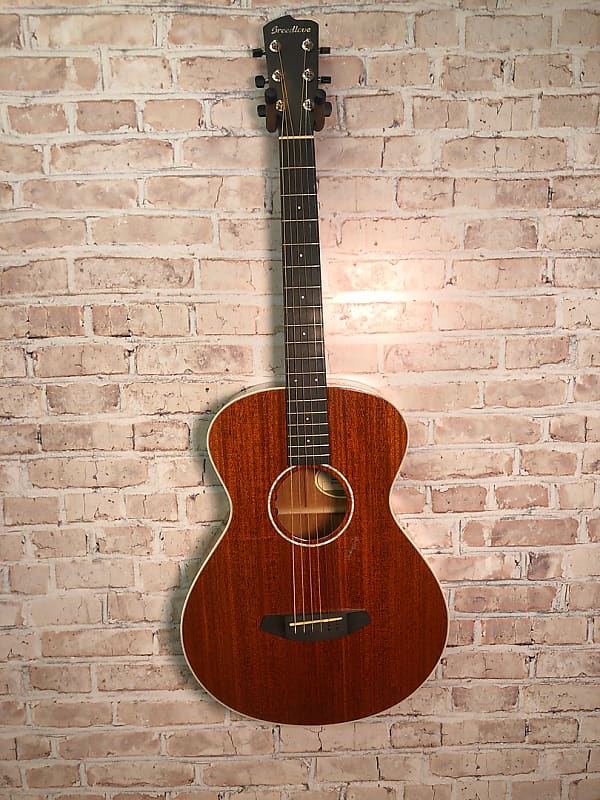 Breedlove Frontier Acoustic Guitar(Springfield, NJ) image 1