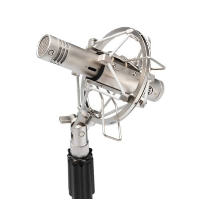 Warm Audio WA-84 Nickel Microfono A Condensatore image 6