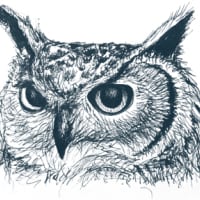Owls Head Music