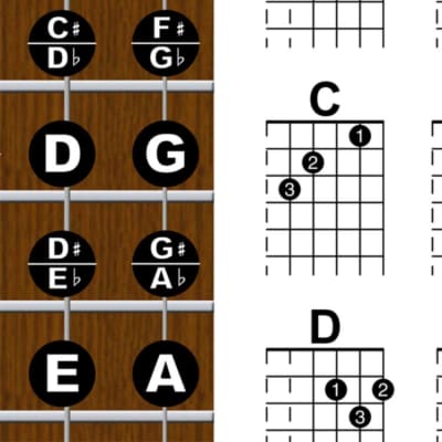  A New Song Music Laminated Guitar Chord & Fretboard Note Chart  & Picks Instructional Easy Poster for Beginners Chords & Notes 4 PICK  11x17