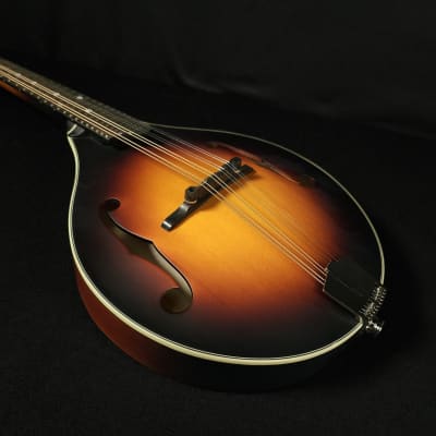 Eastman MD305E-SB A Style Mandolin with Pickup and Bag image 10