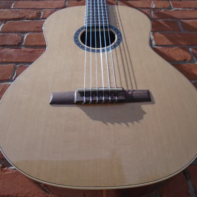 Godin Collection 2022  SF Classical Guitar image 3