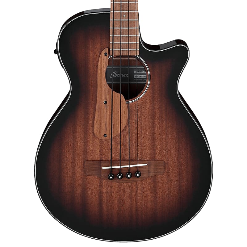 Ibanez AEGB24E Standard | Reverb