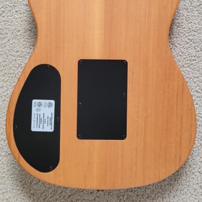 Fender American Acoustasonic Telecaster Acoustic Electric Guitar, B-Stock, Black Finish, New Gig Bag image 7