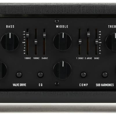 EBS Fafner II 2-Channel 750 W RMS Bass Amp | Reverb