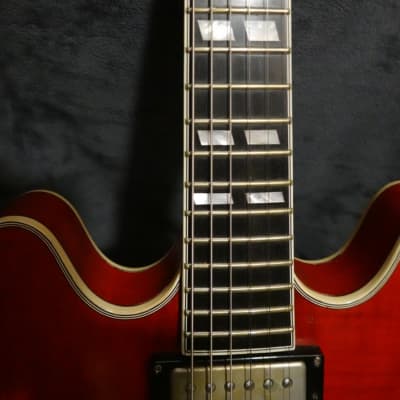 Eastman T59/V-RD Thinline 2021 - Present - Antique Red image 22