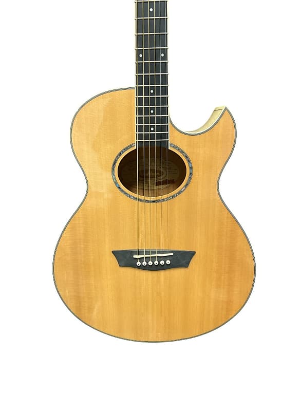 Washburn EA20 エレアコ ギター Amazon | WASHBURN (ワッシュバーン) エレアコギター EA20S-NUNO