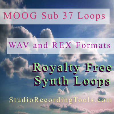 MOOG SUB 37 Synth WAV & REX Format Samples Reason Sounds, Royalty Free Loops