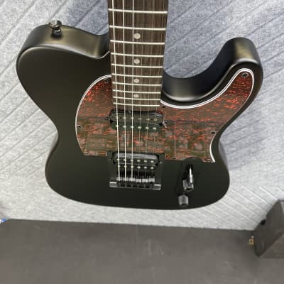 Harley Benton TE-20HH SkunkWerx Best Seller FretWerx In USA Fret Dress and Setup Included! Satin Black image 7
