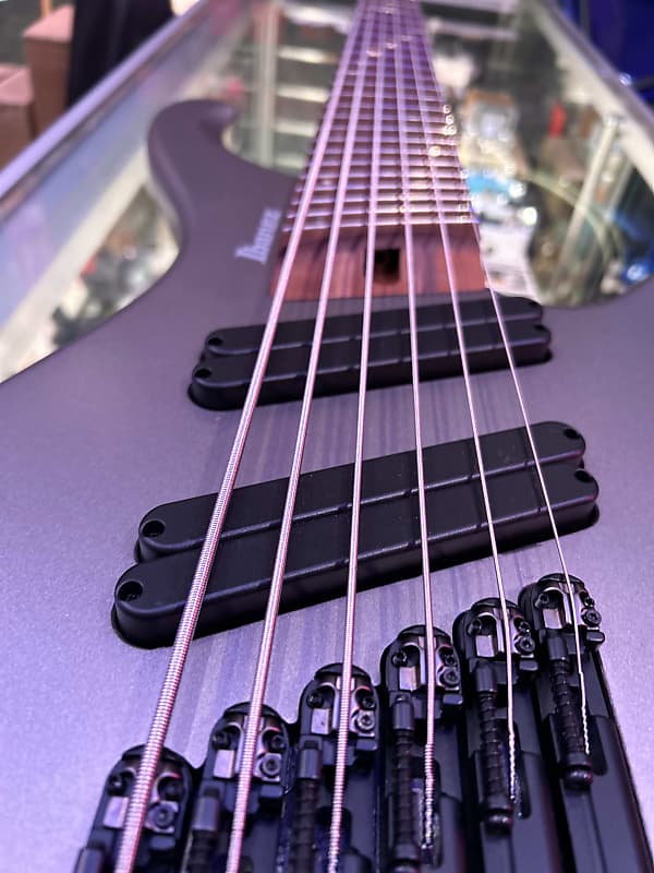 Ibanez EHB1006MS-MGM Bass Workshop 2022 - Present - Metallic Gray