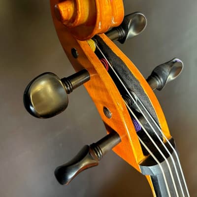 Hidersine Vivente 3/4 Cello Outfit - 2021 image 5