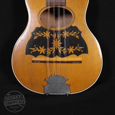 Regal circa 1900 Mandolinetto Spruce/Oak/Brazilian Rosewood image 2
