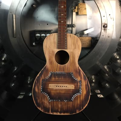 Regal Parlor Acoustic Project Guitar image 1