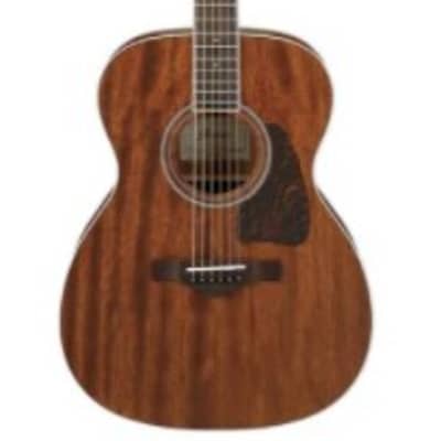Ibanez Artwood Grand Concert Acoustic Guitar - Natural Open Pore for sale