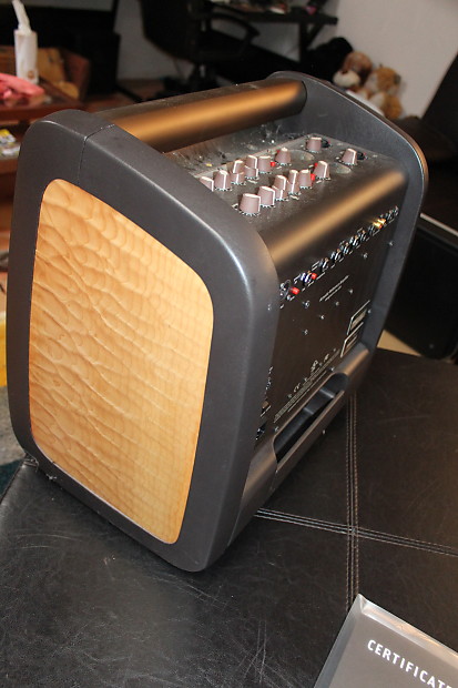 Lr baggs best sale acoustic amp