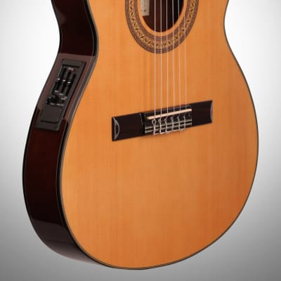 Ibanez GA5TCE Classical Cutaway Acoustic-Electric Guitar image 4