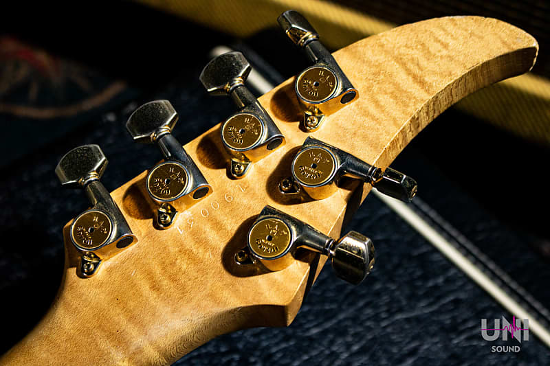 Caparison Horus - Snow Cloud | Reverb