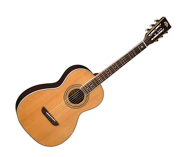 Washburn wp26sns sale