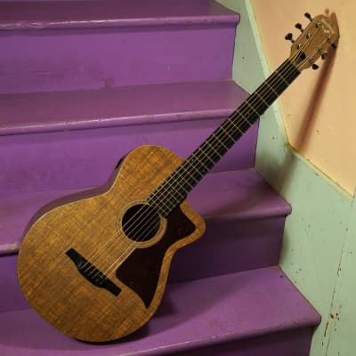 2020s Blackbird Savoy Parlor/Travel Composite/Ekoa Guitar (VIDEO! Fresh Setup, Ready to Go) image 1