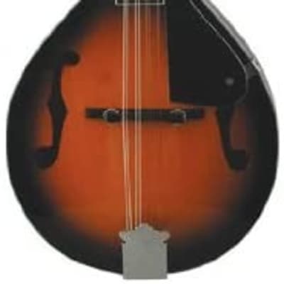 Savannah Model SA-100 A Style Mandolin in a Sunburst Finish w Compensated Bridge image 1