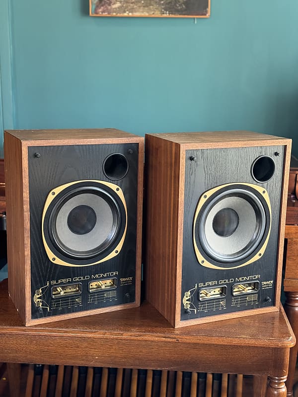Tannoy SGM 10B Circa 1990s Cabs & Crossovers Only Reverb Canada