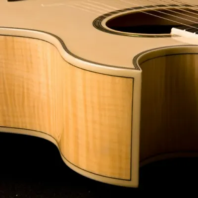 Washburn EA20 Festival Series Cutaway Acoustic Electric Guitar. Natural image 3