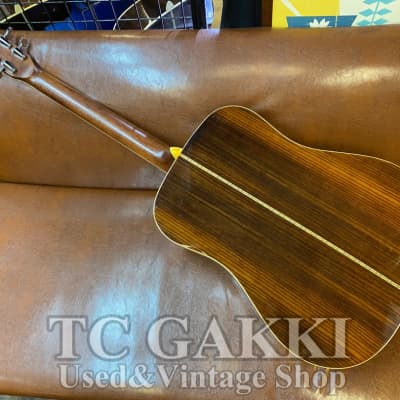 ギター FERNANDES W-250 中古】Fernandes W-250 アコースティックギター - 神奈川県の