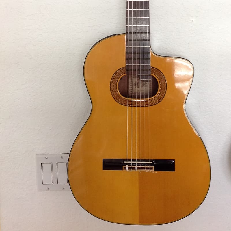 Takamine E30 Classical Nylon Acoustic Electric Natural