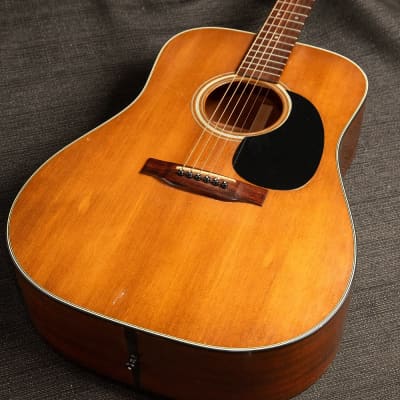 USED Martin D-19 Natural 1981 Dreadnought w/OHSC for sale