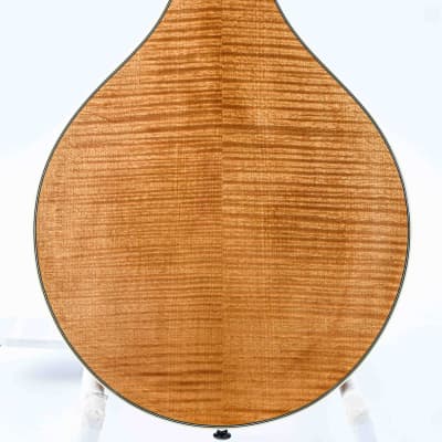 Bourgeois M5A Aged Tone Natural image 8