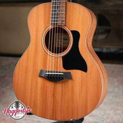 7月1日より価格改定】Taylor (テイラー) 値上がり前のラスト