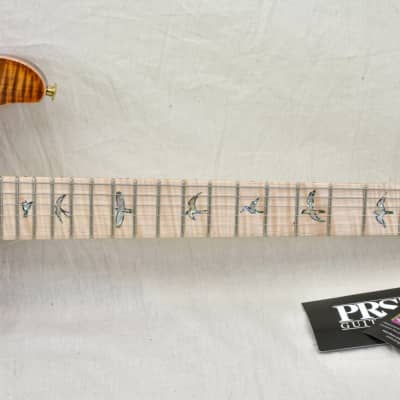 PRS Guitars Wood Library Custom 24 Fatback - Autumn Sky 10 Top image 6