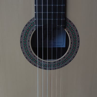 2022 Darren Hippner Domingo Esteso Model Rosewood Classical Guitar image 6