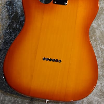 Fujigen/FGN KNTE10RBD-HB 2022 Honey Burst 3.37kg #C220031 Fujigen/FGN KNTE10RBD-HB 2022 Honey Burst 3.37kg #C220031
