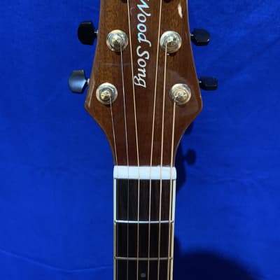 Wood Song JCE-HS-L Jumbo Left-Handed Acoustic Guitar image 6