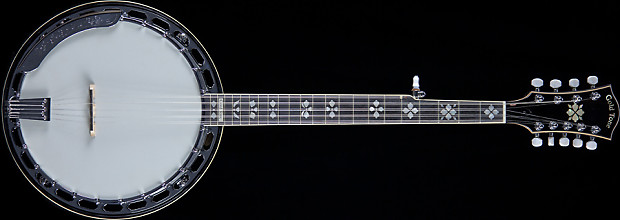 10 string banjo hot sale