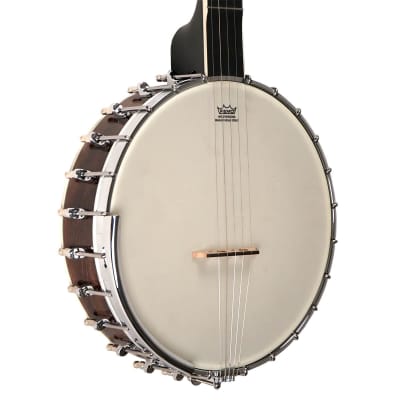 Gold Tone WL-250 White Ladye Professional Maple Neck Openback Banjo with Gig Bag image 3