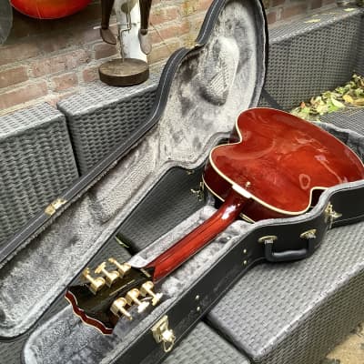 D'Angelico Excel Style B Throwback - Viola / Archtop / With | Reverb