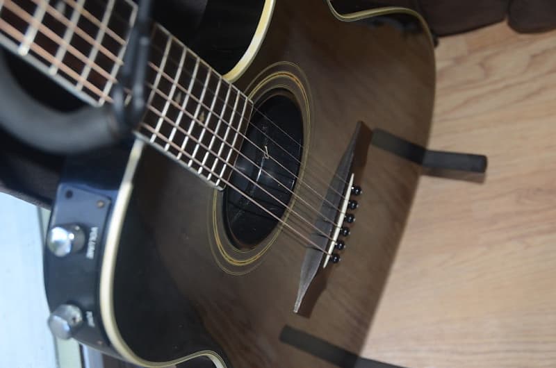 Vester Maniac Solid Bodied Acoustic Guitar