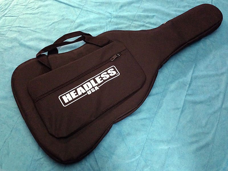 Steinberger 2025 gig bag