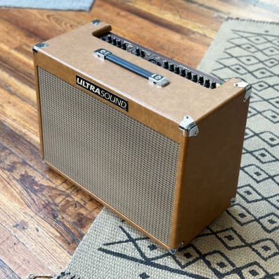 UltraSound Dean Markley Pro-250 Acoustic Amplifier for sale