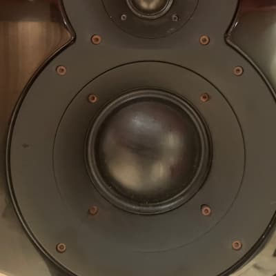 Coastal Acoustics Boxer T5 Main Studio monitor Speakers (Pair) RARE! image 5