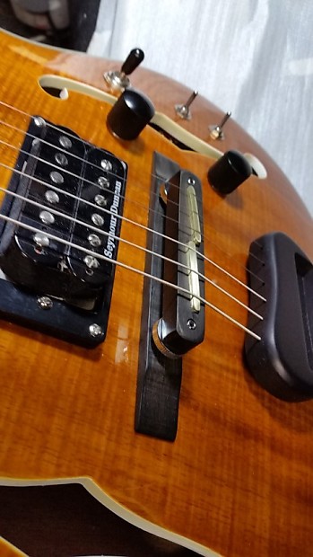 Languedoc guitar shop kit