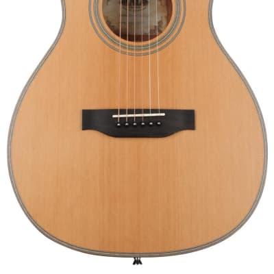 Kala #KA-GTR-PLR_W - Solid Cedar Top Parlor Guitar, Includes Deluxe Padded Gig Bag for sale