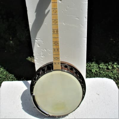 Lange Orpheum Banjo, 1920's,  Resonator, Tone Ring, Page Tuners, HSC,  Unusual Model,  Little Use image 2
