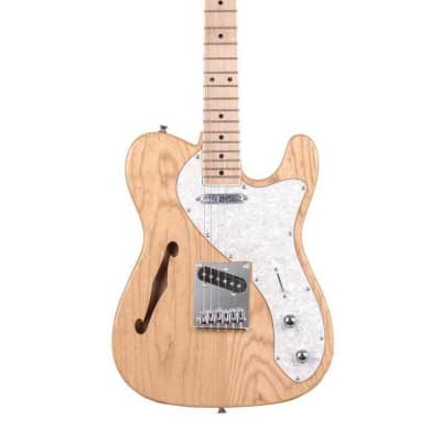 Sx Thinline Telecaster Electric Guitar for sale