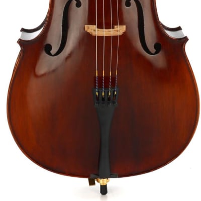 Eastman VC305 Andreas Eastman Intermediate Cello - 3/4 Size for sale