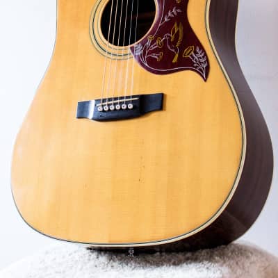 Greco F-200 Dreadnought Acoustic 1973 | Reverb